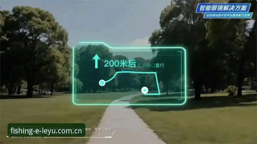 乐鱼体育平台登录入口深度解析：从实战角度解决用户核心痛点