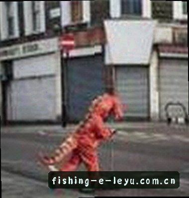 刘洋